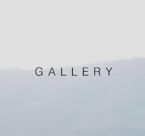 <span>
                  Gallery</span><i>→</i>